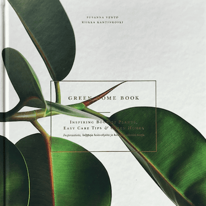 Hovedbilde Green Home Book