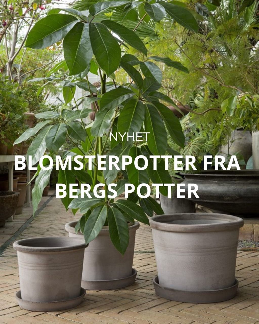Bergs potter potteskjulere