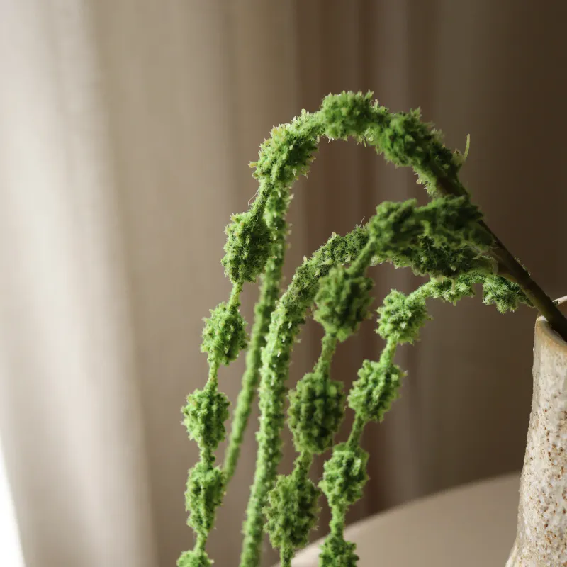 Botané Studios Light green Amaranthus Caudatus Six Forks